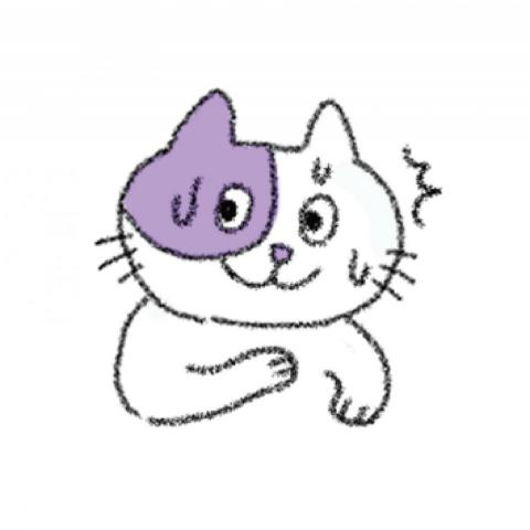 提供74包包服務的專家蔡沛珈