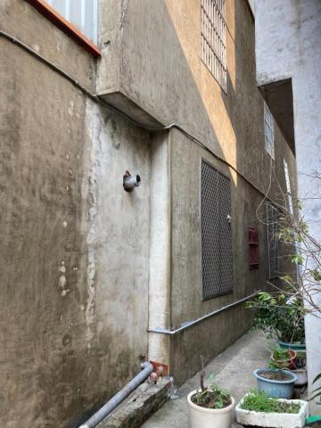 威振油漆工程 - 外牆防水工程，上底漆