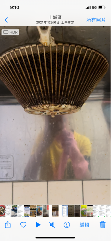 李小姐 -  李小姐 -