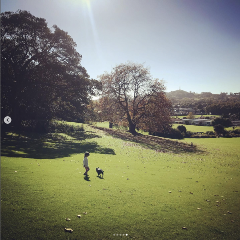 方騰寵物保母 Fountains Pet Sitter - 