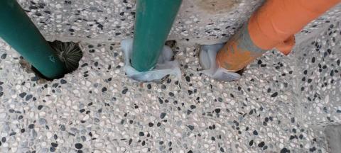 嘉澤滅鼠封堵防治工程 - 老鼠封堵 嘉澤滅鼠封堵防治工程 - 老鼠封堵