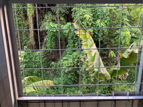 蕭先生 - 小面積油漆施工