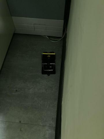 恆冠環衛有限公司 - 強力捕鼠夾 恆冠環衛有限公司 - 強力捕鼠夾