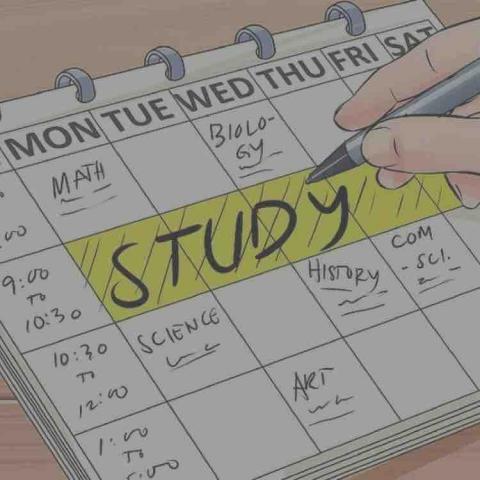 提供寫文章服務的專家Studying!