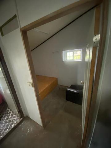 拆除、增建、水電、油漆、除草 - 