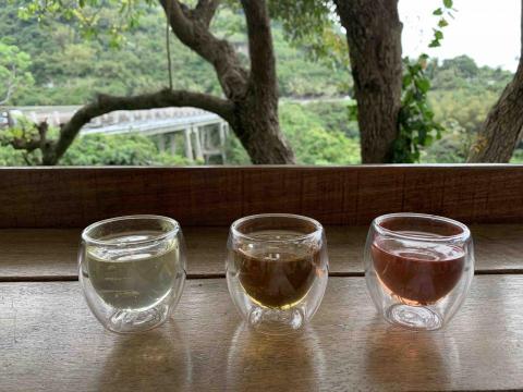 提供coreldraw服務的專家Evonne