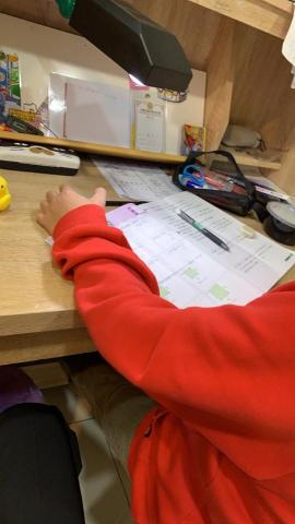 王晸皓 - 這個是國小五年級的小男生