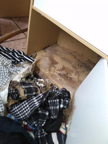 嘉澤滅鼠封堵防治工程 - 居家白蟻腐蝕木櫃 嘉澤滅鼠封堵防治工程 - 居家白蟻腐蝕木櫃