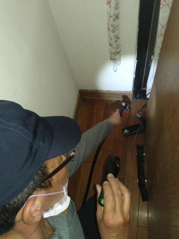 嘉澤滅鼠封堵防治工程 - 白蟻施工木地板鑽孔灌藥 嘉澤滅鼠封堵防治工程 - 白蟻施工木地板鑽孔灌藥