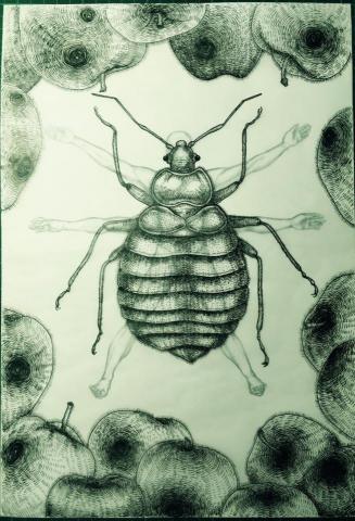 微生物工作室 - 插畫-變形記-卡夫卡