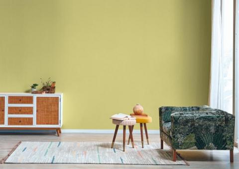 立邦塗料Nippon Paint-刷新服務-代客塗刷 - 