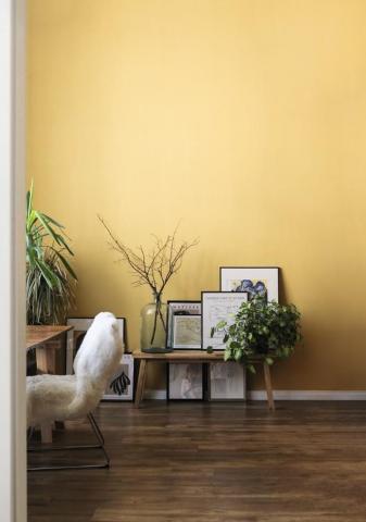 立邦塗料Nippon Paint-刷新服務-代客塗刷 - 