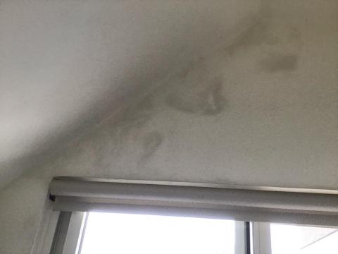 別墅、透天、規劃、統包 - 