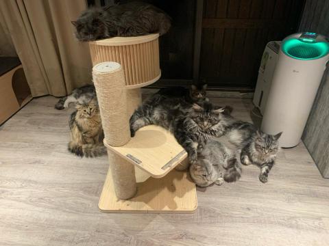 愛屋及烏居家個人預約工作室 -  愛屋及烏居家個人預約工作室 -