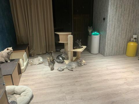 愛屋及烏居家個人預約工作室 -  愛屋及烏居家個人預約工作室 -