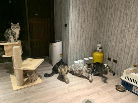 愛屋及烏居家個人預約工作室 -  愛屋及烏居家個人預約工作室 -