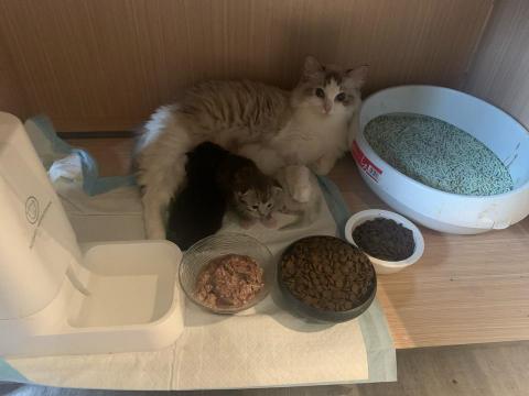 愛屋及烏居家個人預約工作室 -  愛屋及烏居家個人預約工作室 -