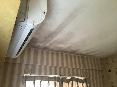 別墅、透天、規劃、統包 - 