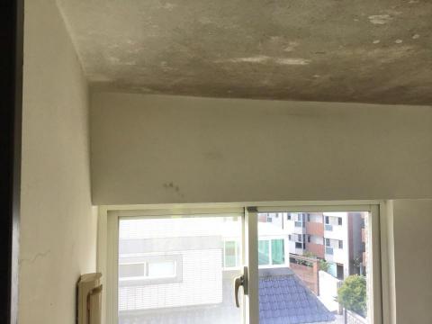 別墅、透天、規劃、統包 - 