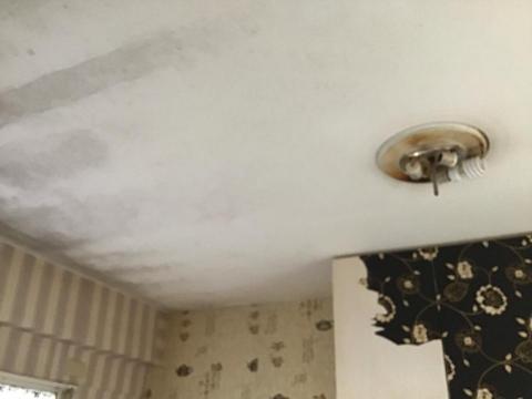 別墅、透天、規劃、統包 - 