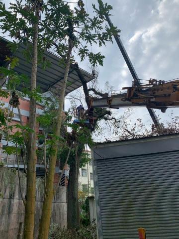 建竑園景企業行 - 