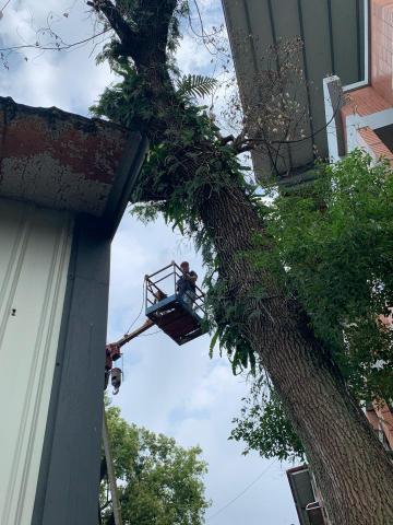 建竑園景企業行 - 