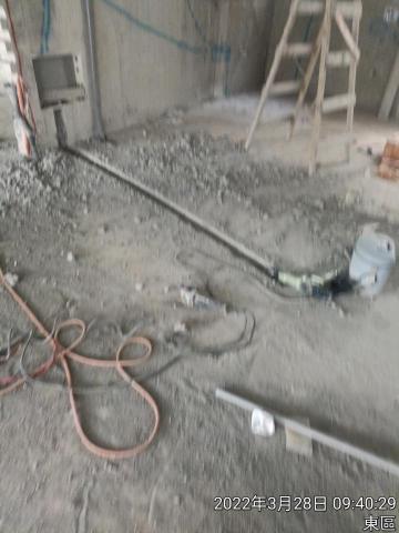 利強 - 大同就小異