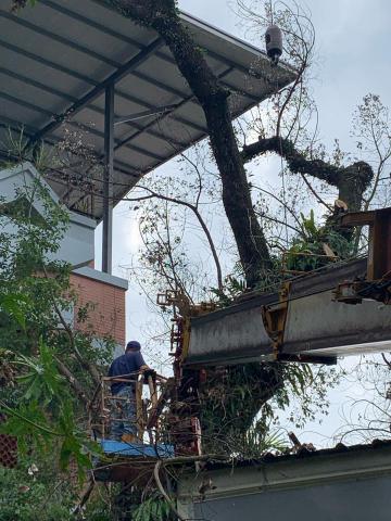 建竑園景企業行 - 