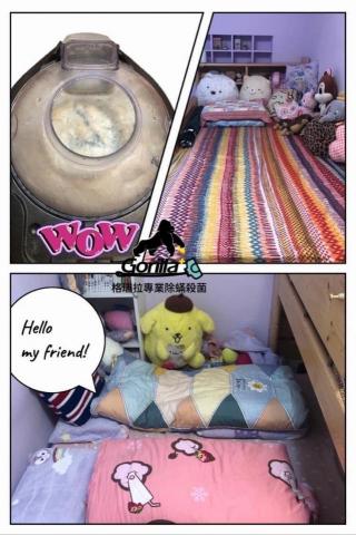 格瑞拉Gorilla 專業除蟎殺菌 - 今日工事 床墊除蟎殺菌
「你能想像你的孩子每天跟蟎共眠嗎⁉️」
吸出來的塵蟎絕對超乎你的想像?

果然是小女孩兒的房間，充滿夢幻的布偶娃娃，媽咪說女兒長期有過敏的狀況，安排除蟎殺菌，改善睡眠環境品質。

可愛的夢幻布偶也是塵蟎喜愛躲的地方喔，媽咪也需要定期月或季安排除蟎唷！！
