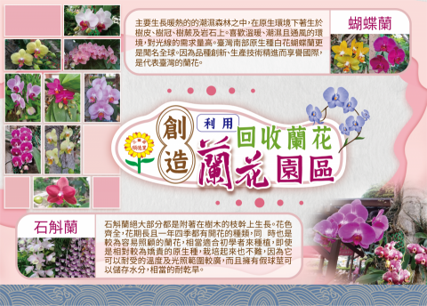 芯雨_ 插畫設計  工作室 - 