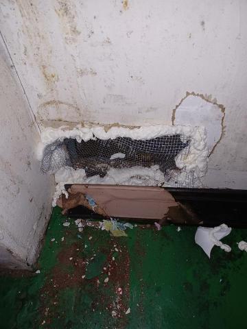 恆冠環衛有限公司 - 老鼠入侵點封阻 恆冠環衛有限公司 - 老鼠入侵點封阻