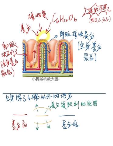 吳珮榆（臺灣大學） - 贈售後服務（其他時間皆可傳訊息幫忙解題，且不收額外費用）
