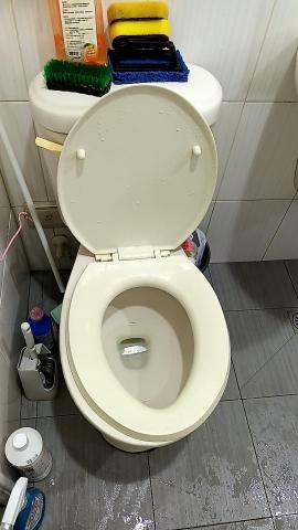 柯全泰 - 馬桶 - 每個馬桶都是朋友和你分享單獨的私密時光，那它當然也要咁勁整潔外，馬桶內溝的死角更使容易藏汙納垢，所以我們的清潔達人連內部當幫您刷洗乾淨，設想到位喔！