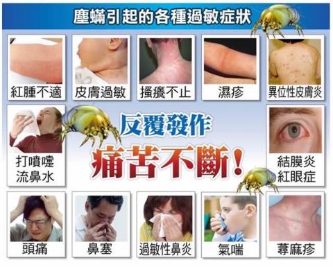 滅蟎王專業到府清潔除塵蟎 -  7