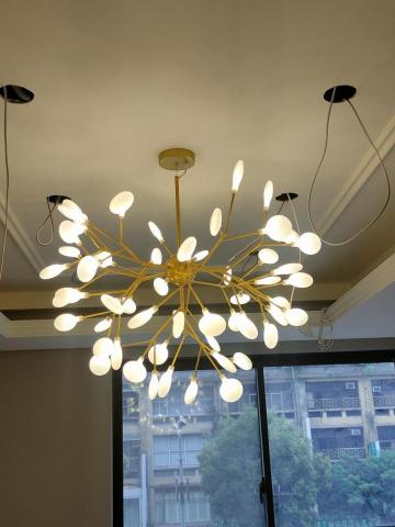 柏帝照明小顏 - 