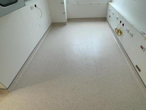 趙師傅 - 整件式滿鋪地毯-上牆