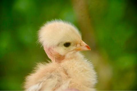 量子歐巴QuantumO8 - 商業攝影