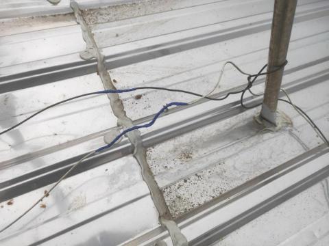 （三人）林錦松.陳氏兄弟！ - 