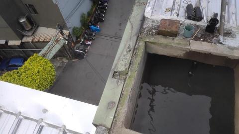 （三人）林錦松.陳氏兄弟！ - 