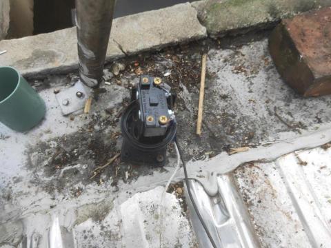 （三人）林錦松.陳氏兄弟！ - 