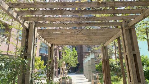 秦順工程行 - 南方松保養