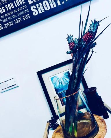 Swingcat音樂工作室 - 