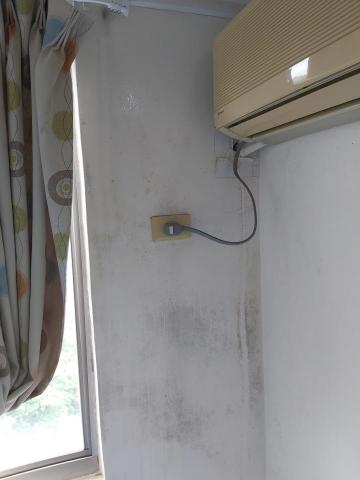 小鄭師傅 - 發霉處理