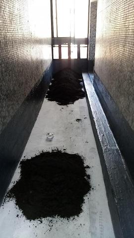 藍全能工作室 - 民生路201號舖40*40石英磚 藍全能工作室 - 民生路201號舖40*40石英磚