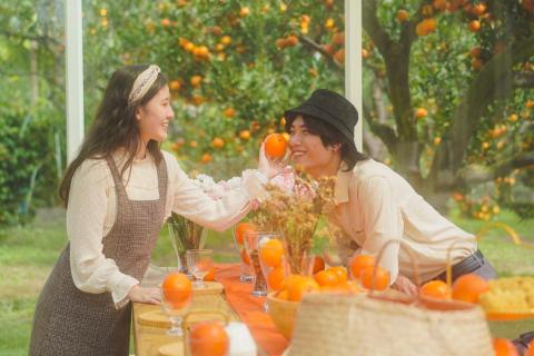 落日餘暉影像工作室 - 愛情故事