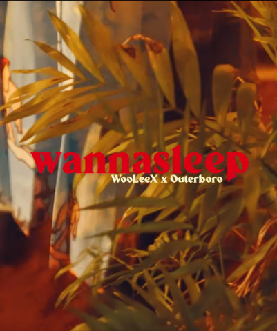 歐可影像有限公司 - Outerboro x WooLeeX x Wannasleep聯名形象