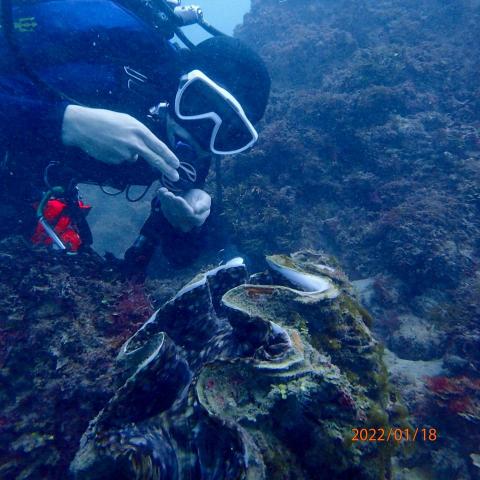 國立台灣大學漁業科學研究所 - 