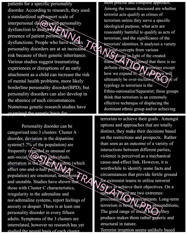 趙千環 - 論文寫作