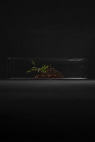 李同學 - 藝術品拍攝 李同學 - 藝術品拍攝