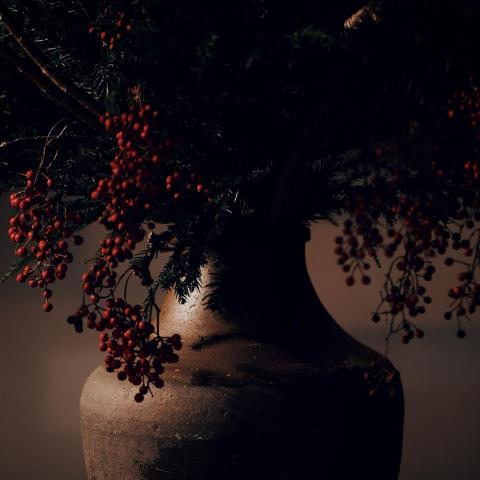 李同學 - 商品 李同學 - 商品